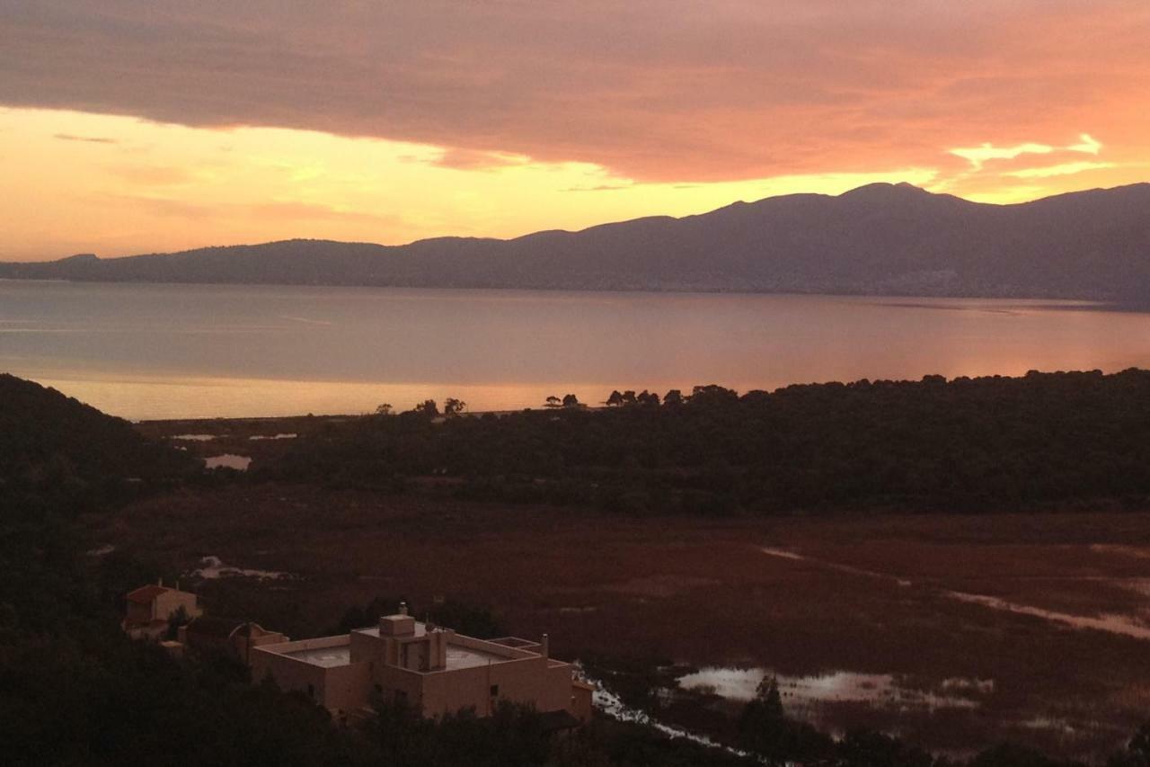 Harmony Maisonette Σχοινιάς Εξωτερικό φωτογραφία
